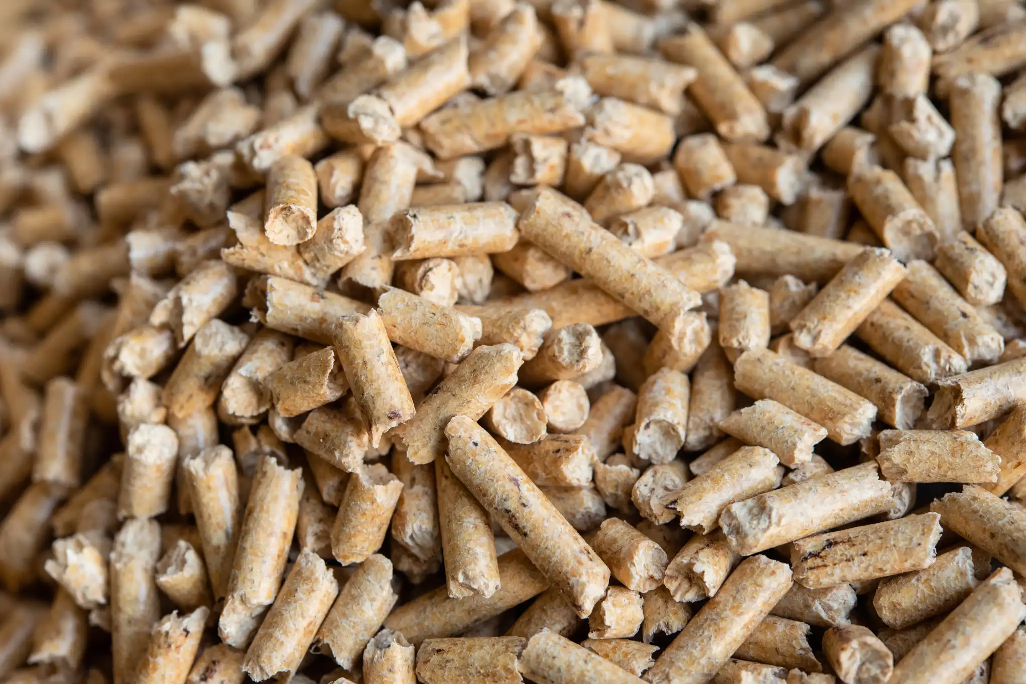 Pellet Saccomandi